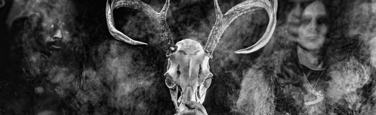 Wolves In The Throne Room