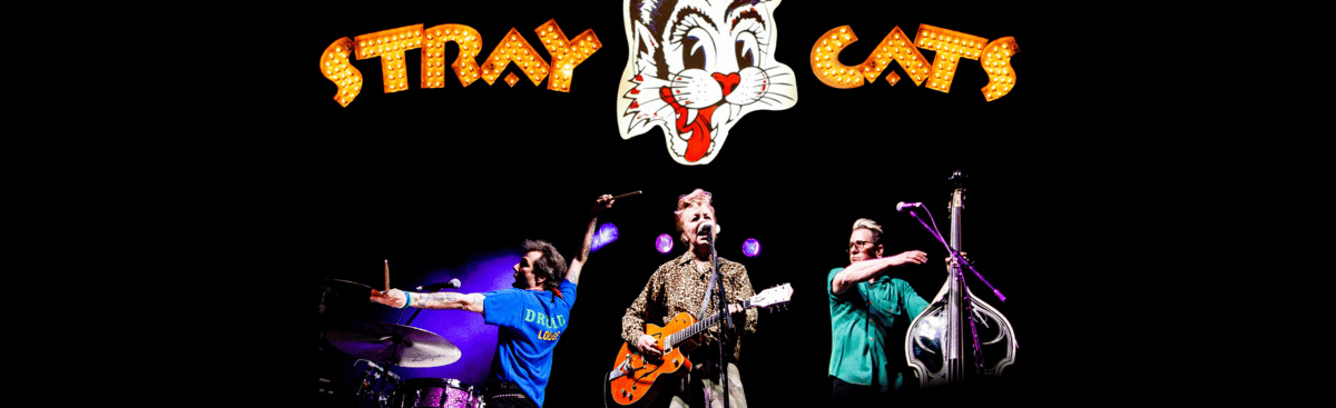 Stray Cats